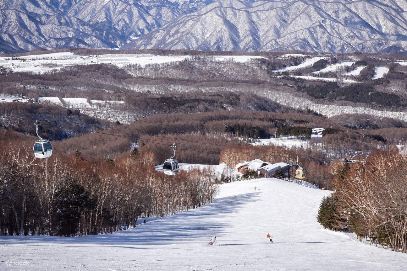 Penerokaan Bandar Pergunungan Bersalji Putih: Lawatan Sehari ke Gunung Pemburu Nasu | Pengangkutan Persendirian